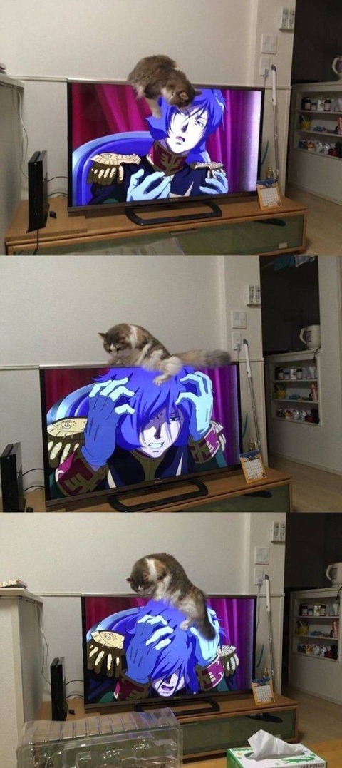 15cf2fe5.jpg
