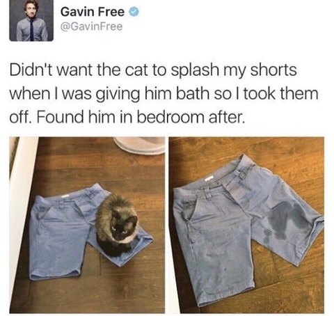 1a0e18b0.jpg