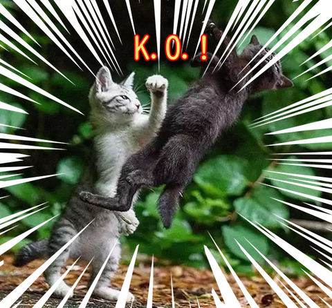 2f7d05ee.jpg