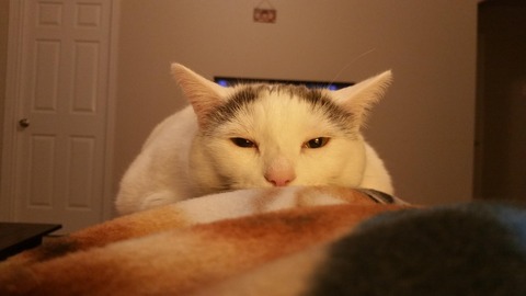422bb8d0.jpg