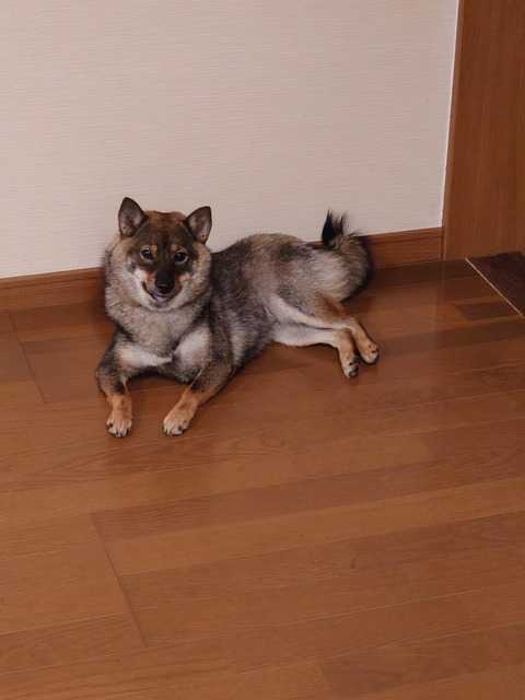 50592f23.jpg