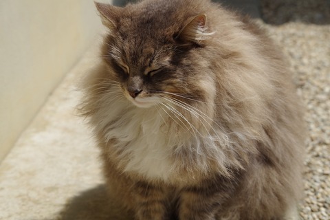 538f93e8.jpg
