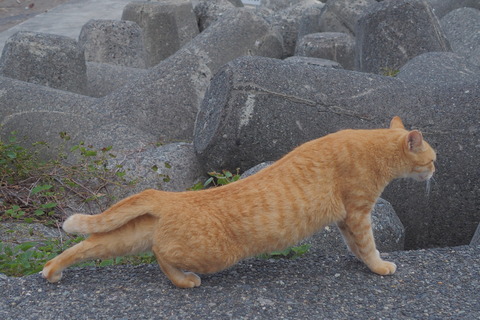 5a95d887.jpg