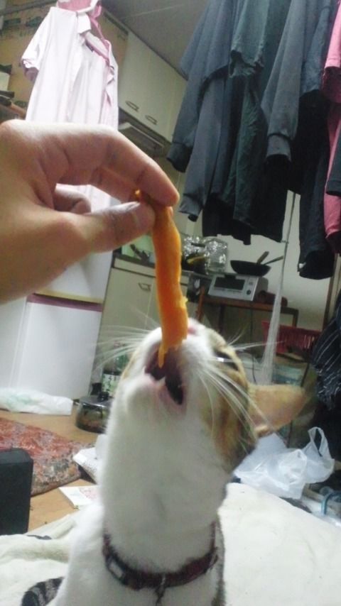 no title