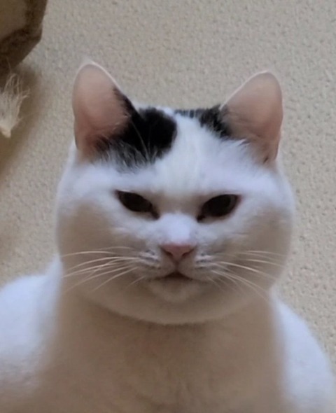 65c7c59d.jpg