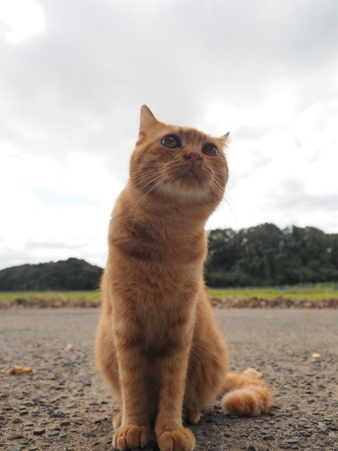 783419a5.jpg