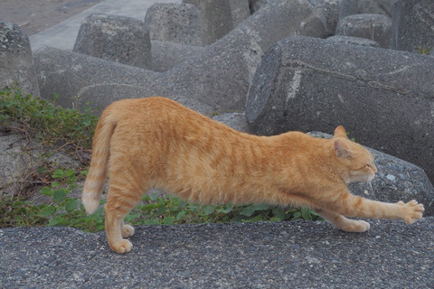81c62fe3.jpg