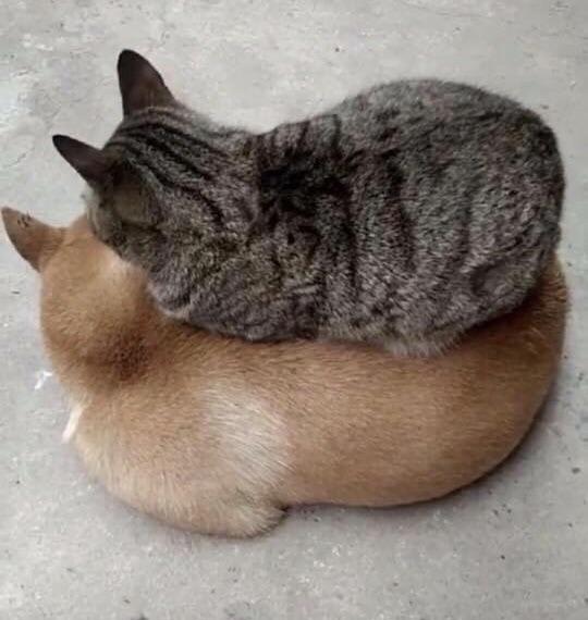 no title