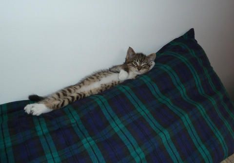 b615a795.jpg
