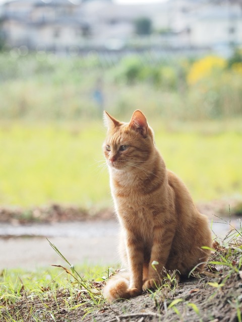 c837679f.jpg