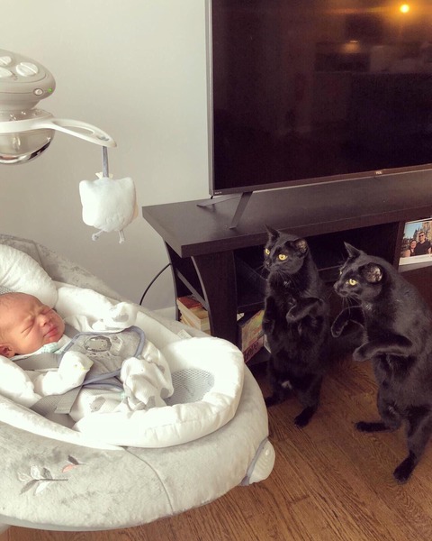 d24acedc.jpg