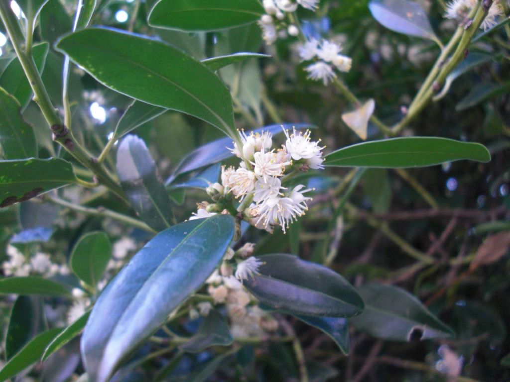 石川青少年の家に行ってきました!! : 沖縄県立 名護青少年の家 指定