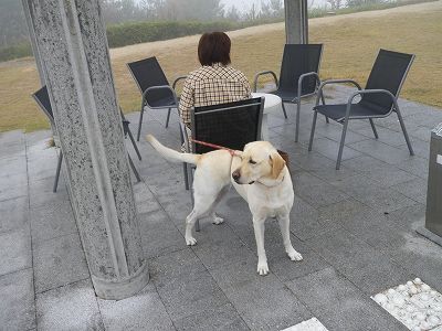 20091108_94025_0062_3