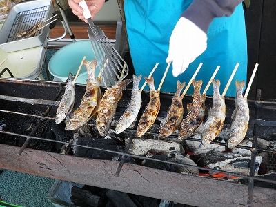 20091108_104447_0071