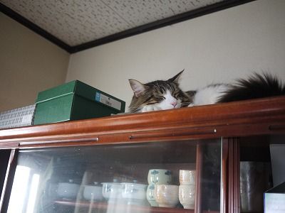 P1030387_2 P1030387_2