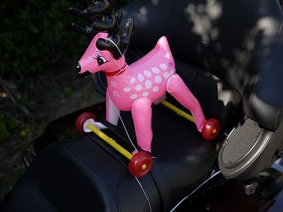 P1030622_2 P1030622_2