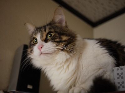 P1030309_2 P1030309_2