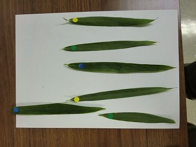 CIMG6144