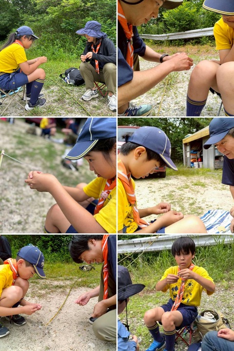 20260617_172443-COLLAGE