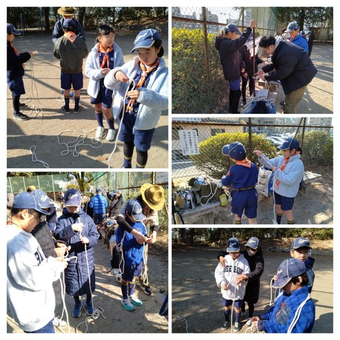 20260123_123238-COLLAGE