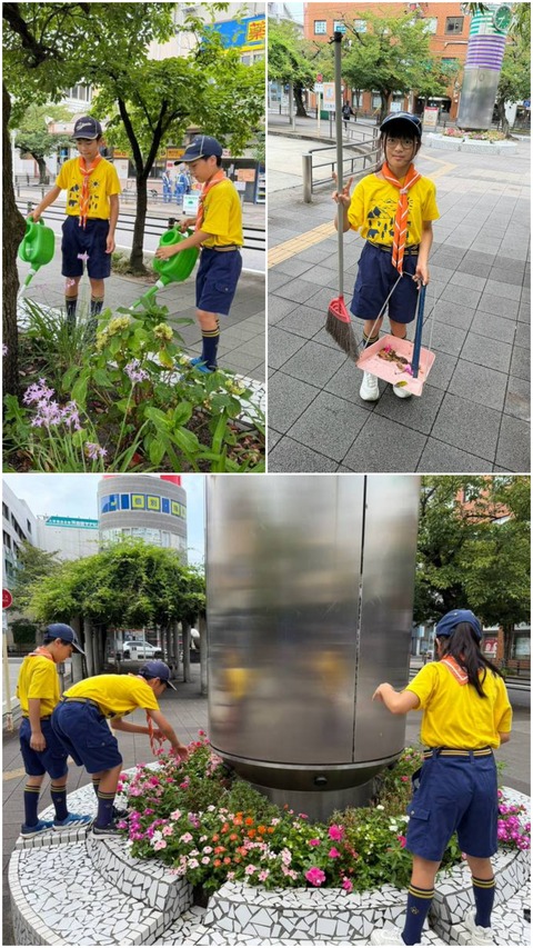 20260903_182206-COLLAGE