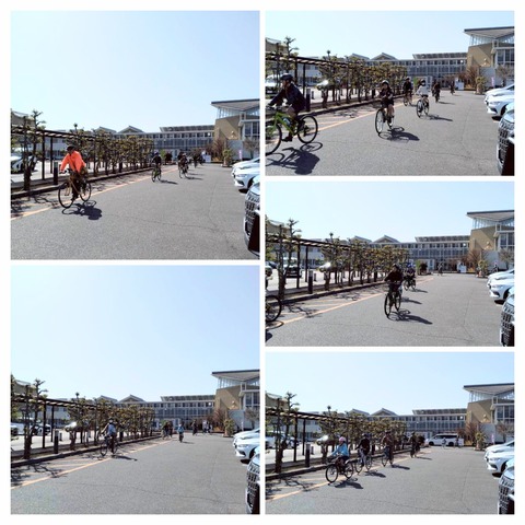 20260306_103233-COLLAGE~2