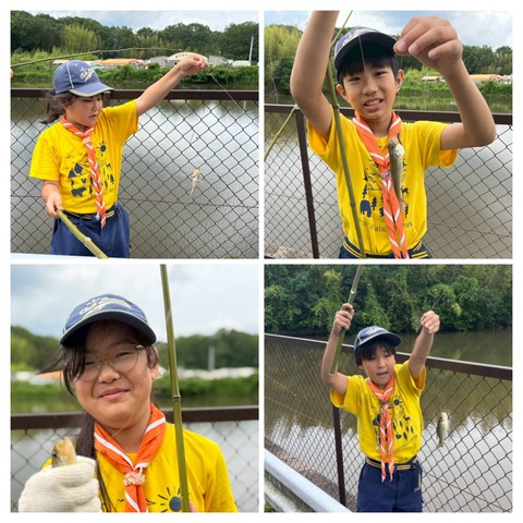 20260617_175944-COLLAGE