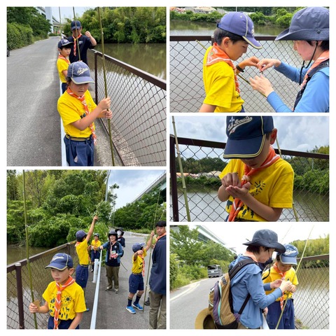 20260617_173326-COLLAGE