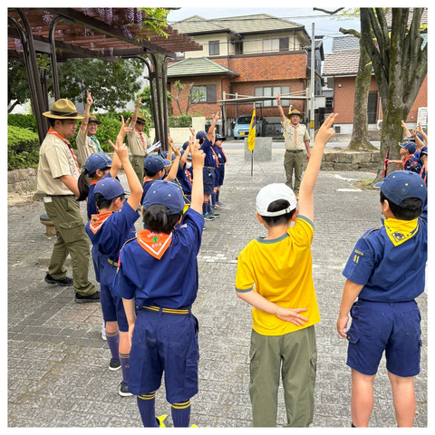 カブサイン
