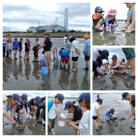 20250602_224511-COLLAGE