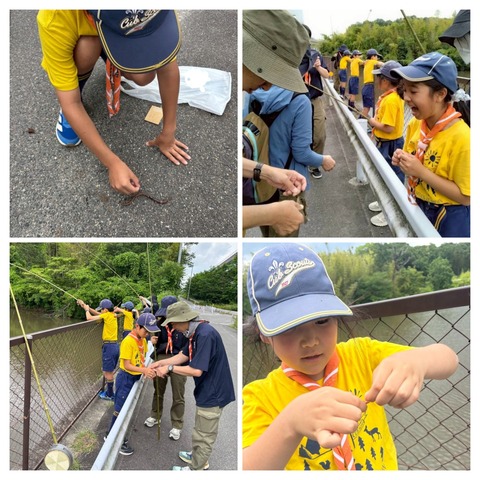 20260617_180335-COLLAGE