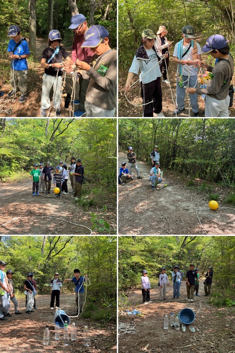 20260523_183951-COLLAGE