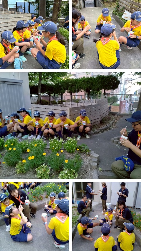 20250808_103903-COLLAGE