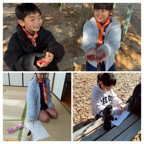 20260124_214234-COLLAGE