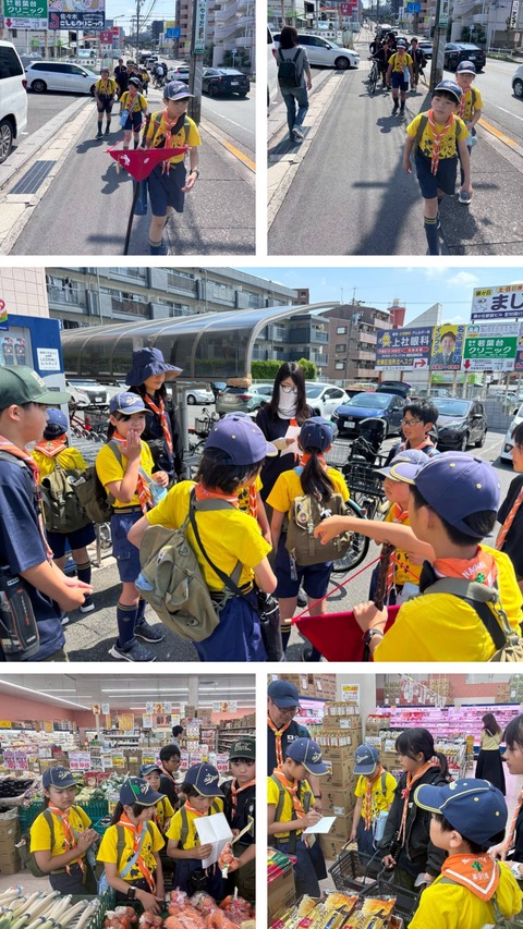 20260523_161852-COLLAGE