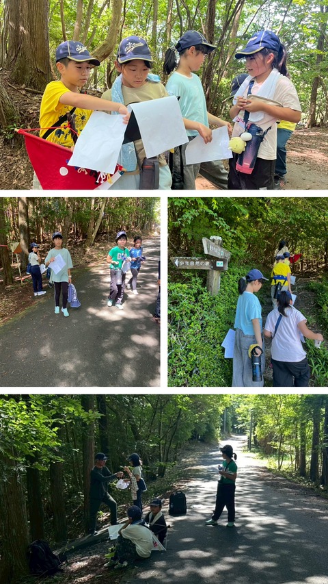 20250803_000934-COLLAGE