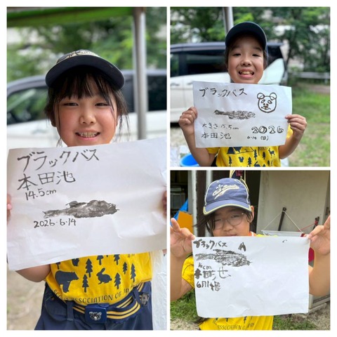 20260617_165824-COLLAGE