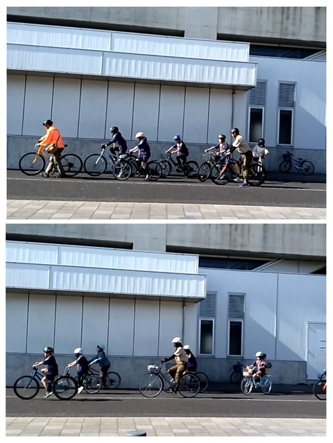 20260306_104237-COLLAGE