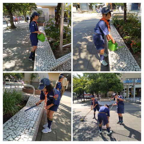 20250629_170326-COLLAGE