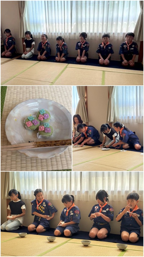 20260627_120439-COLLAGE