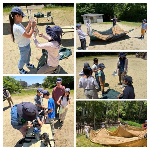 20260523_235453-COLLAGE