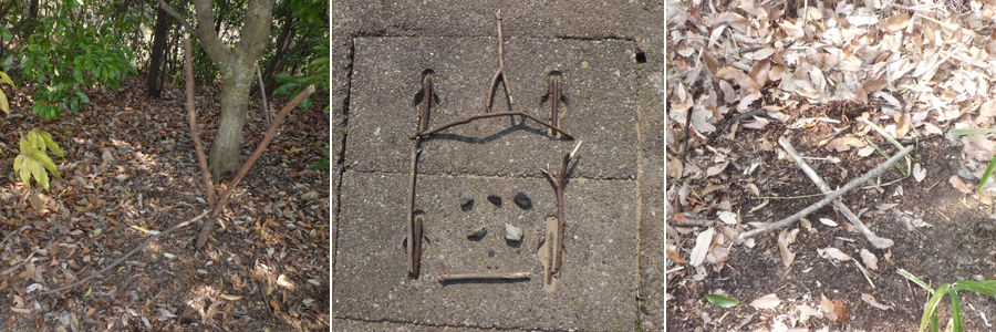 追跡ハイク ボーイスカウト名古屋第９１団カブ隊