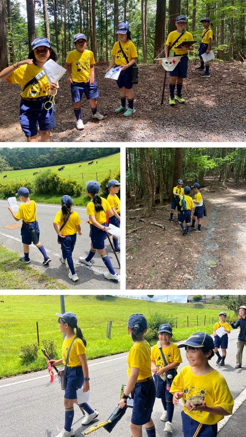 20250805_203222-COLLAGE