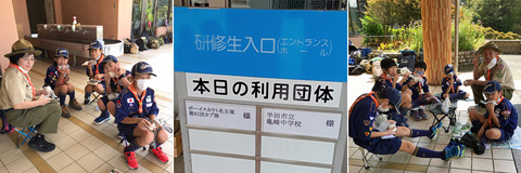 p06
