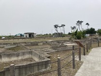 IMG_0849