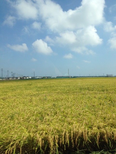 写真 12-09-14 12 47 04