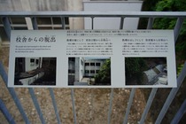 IMG_1193