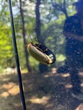 LINE_ALBUM_その他写真_250809_1