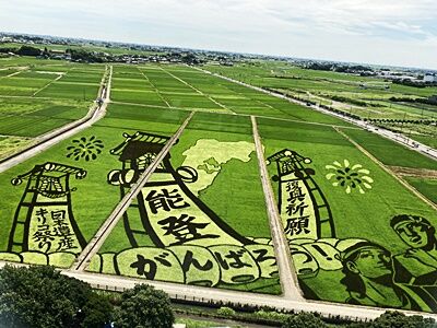 PC文字を拡大 行田の田圃アート : 紫雨林のブログ4