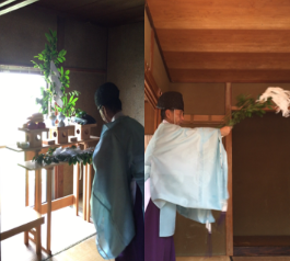 sdfsfdsferwerwsfdsdfs